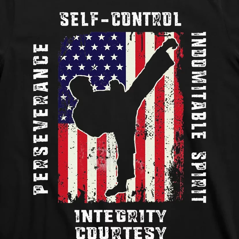 Cool American Flag Taekwondo Gift Tae Kwon Do Martial Arts T-Shirt