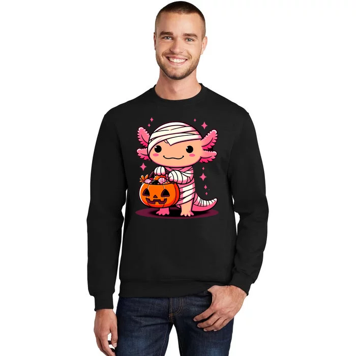 Cute Axolotl Halloween Costume Sweatshirt