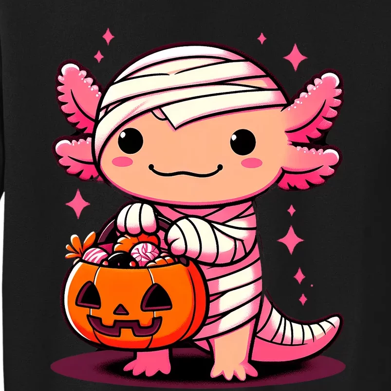 Cute Axolotl Halloween Costume Sweatshirt