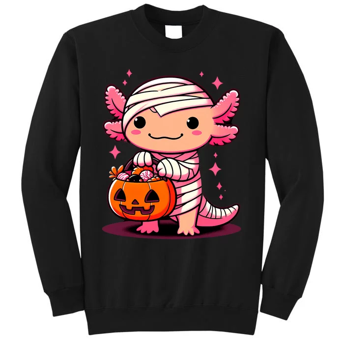 Cute Axolotl Halloween Costume Sweatshirt