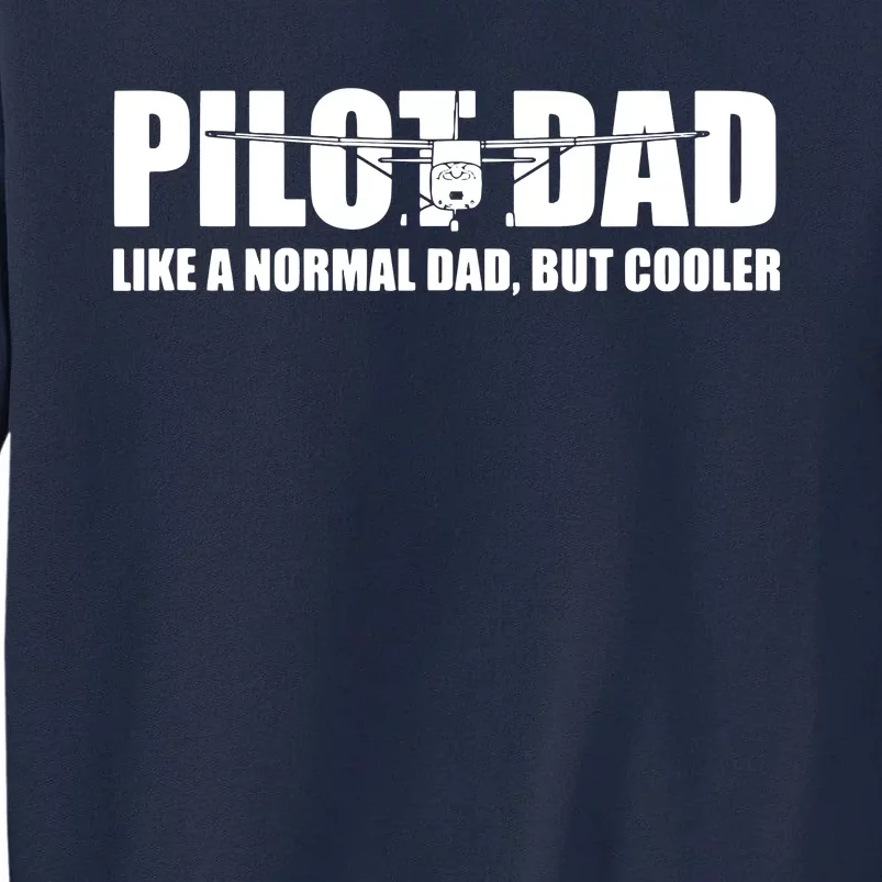 C172 Aviation Humor Funny Pilot Father Pilot Dad Tall Sweatshirt