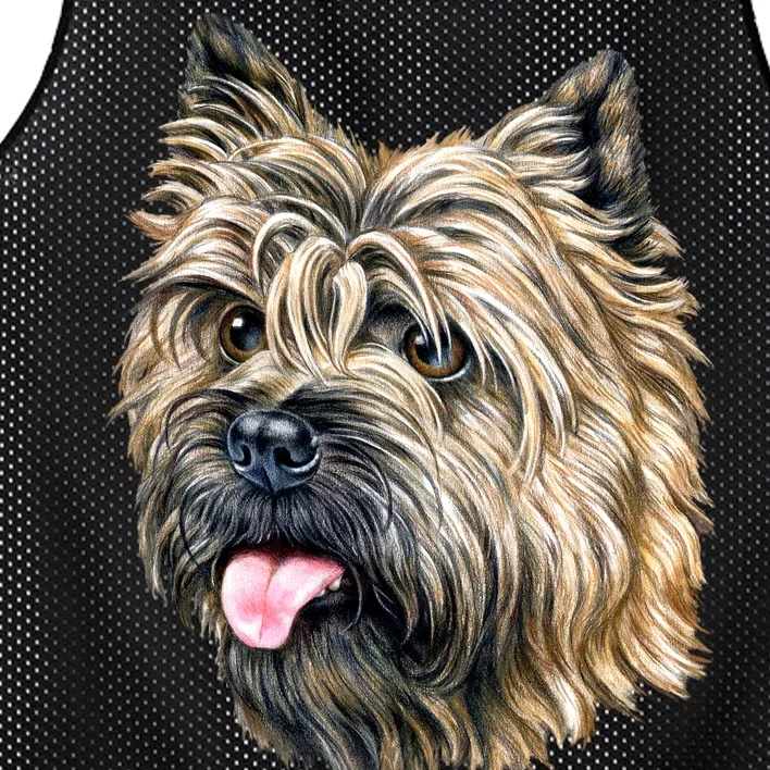 Cairn Terrier Mesh Reversible Basketball Jersey Tank