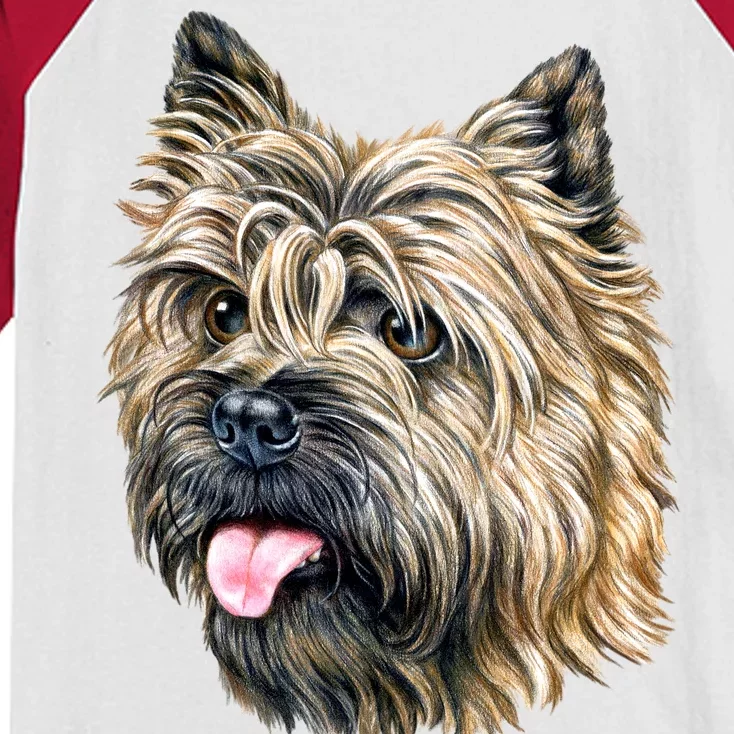 Cairn Terrier Kids Colorblock Raglan Jersey