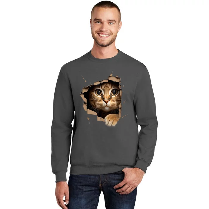 Cat Art Kitten Torn Cloth Cute Cat Owner Funny Cat Tall Sweatshirt