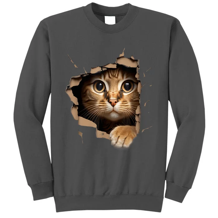 Cat Art Kitten Torn Cloth Cute Cat Owner Funny Cat Tall Sweatshirt