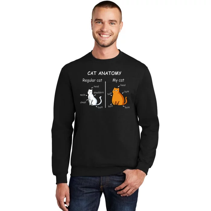 Cat Anatomy Kittlen Lover Funny Science Teacher Sweatshirt