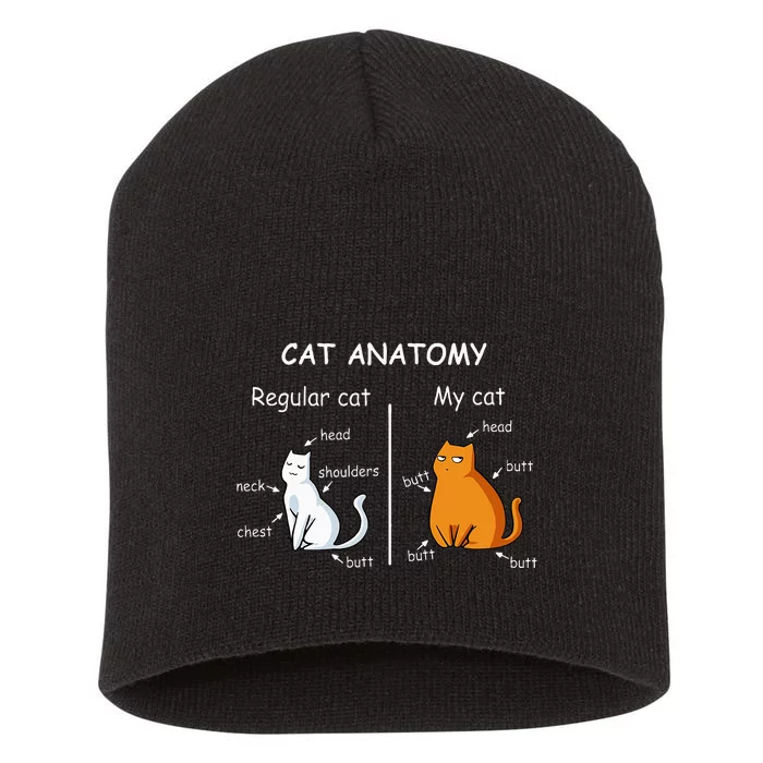 Cat Anatomy Kittlen Lover Funny Science Teacher Short Acrylic Beanie