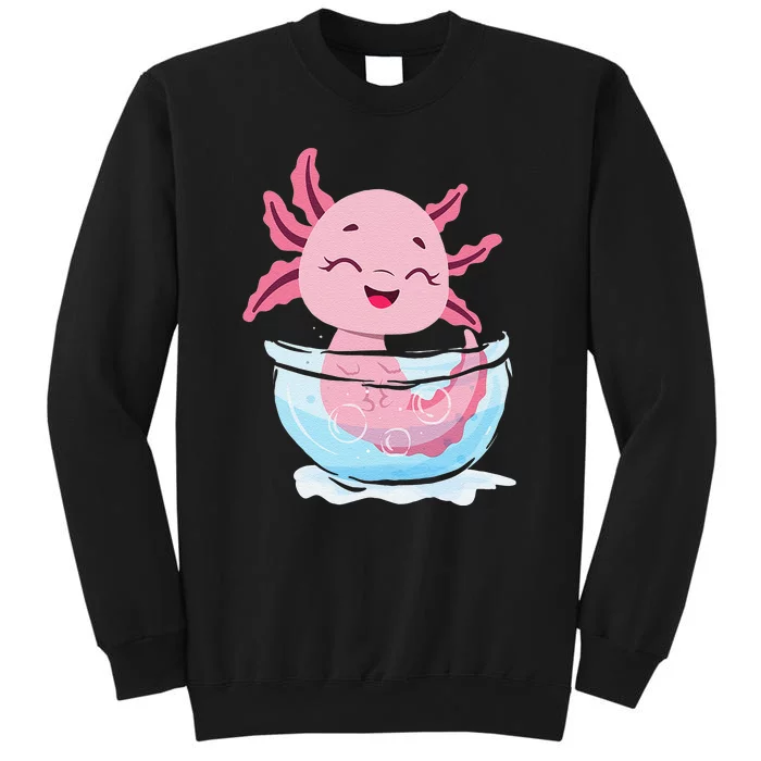 Cute Axolotl Lover Snaxolotl Kawaii Axolotl Food Sweets Sweatshirt