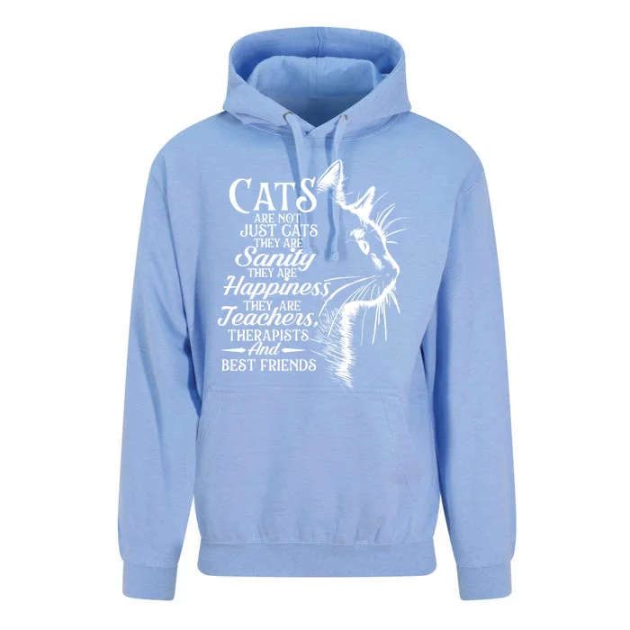 Cats Are Not Just Cats They Are Sanity Cat Pet Owner Unisex Surf Hoodie