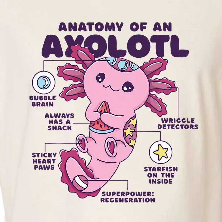 Cute Anatomy Of An Axolotl Axolotls Axolotl Lovers Gift Garment-Dyed Women's Muscle Tee