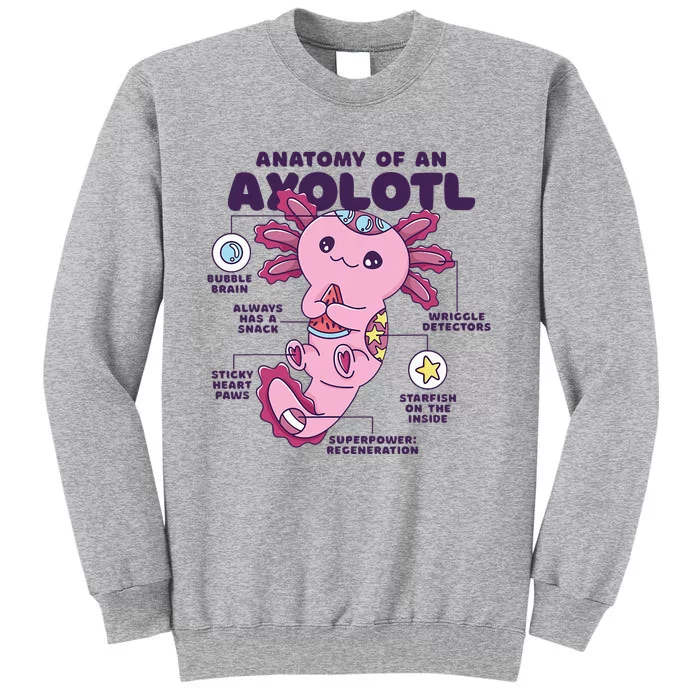 Cute Anatomy Of An Axolotl Axolotls Axolotl Lovers Gift Tall Sweatshirt