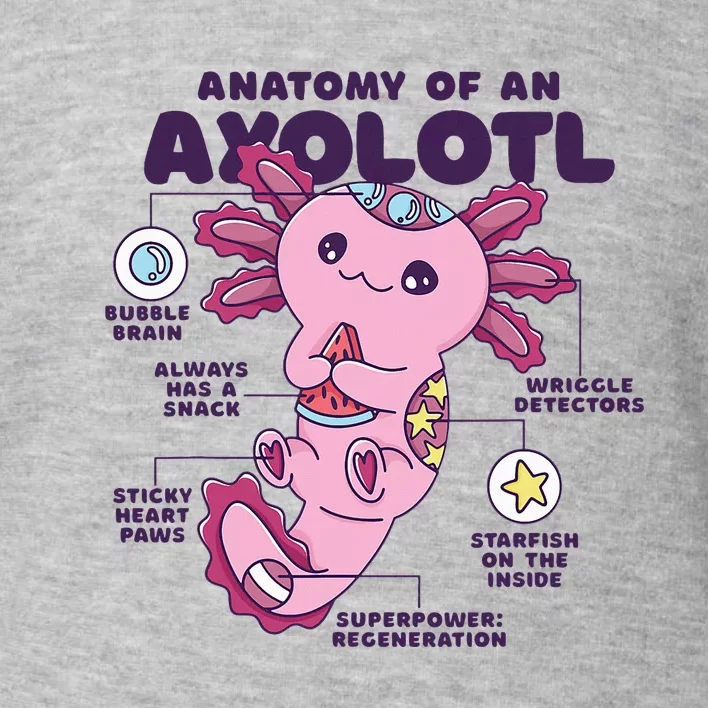 Cute Anatomy Of An Axolotl Axolotls Axolotl Lovers Gift Toddler Sweatshirt