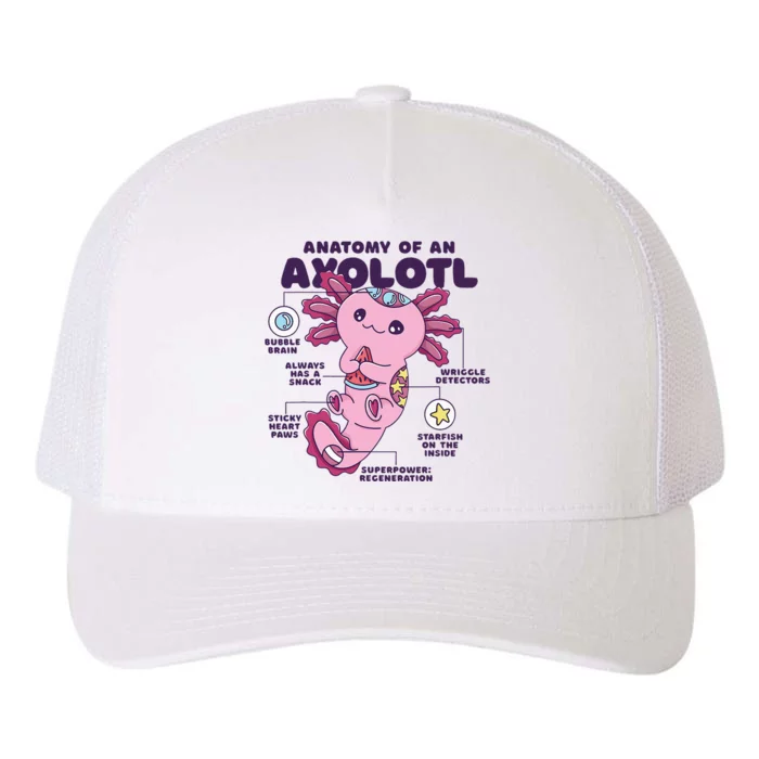 Cute Anatomy Of An Axolotl Axolotls Axolotl Lovers Gift Yupoong Adult 5-Panel Trucker Hat