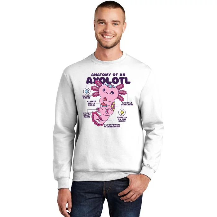 Cute Anatomy Of An Axolotl Axolotls Axolotl Lovers Gift Sweatshirt