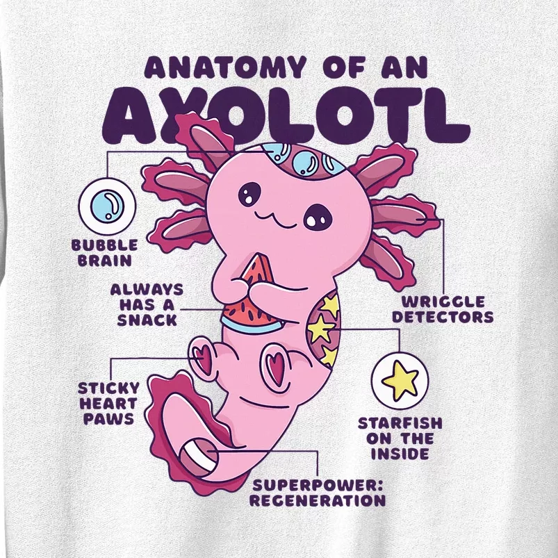 Cute Anatomy Of An Axolotl Axolotls Axolotl Lovers Gift Sweatshirt