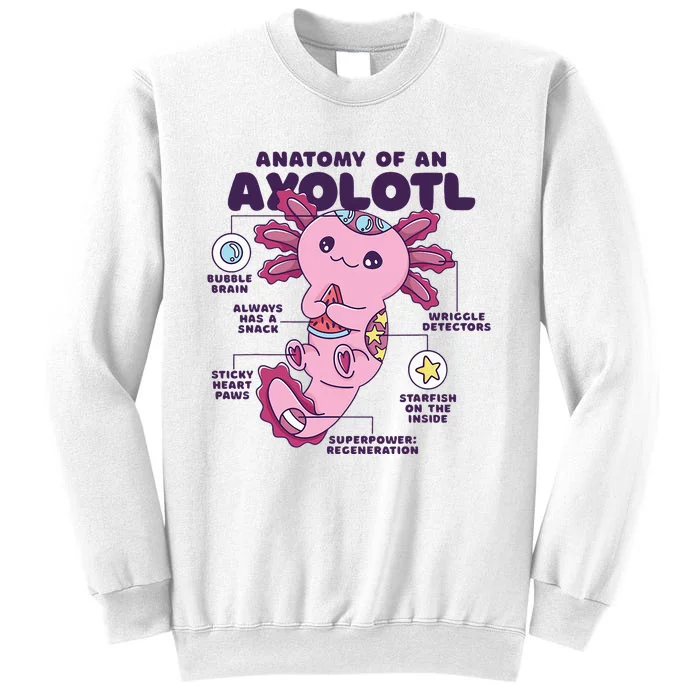 Cute Anatomy Of An Axolotl Axolotls Axolotl Lovers Gift Sweatshirt