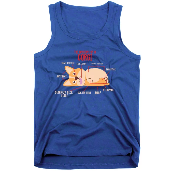 Corgi: Anatomy Of A Corgi Funny Dog Owner Gift Tank Top