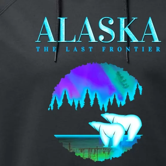 Cool Alaska Pair of Polar Bear with Aurora Snow Scene Performance Fleece Hoodie