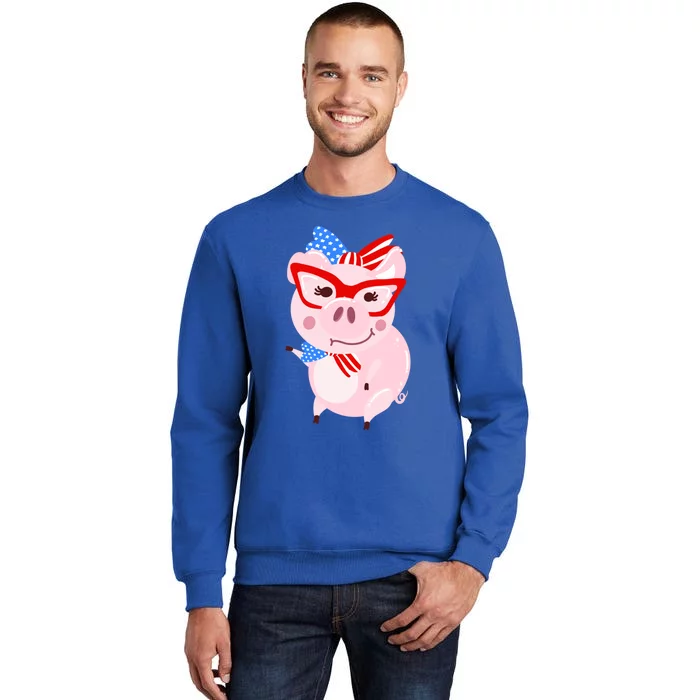 Cool American Pig Funny Pet Piggy United States Flag Gift Tall Sweatshirt