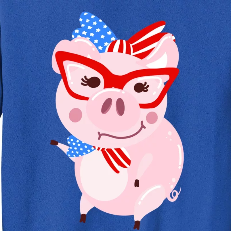 Cool American Pig Funny Pet Piggy United States Flag Gift Tall Sweatshirt