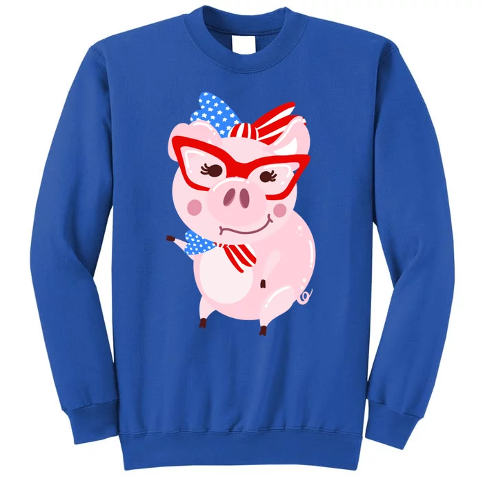 Cool American Pig Funny Pet Piggy United States Flag Gift Tall Sweatshirt