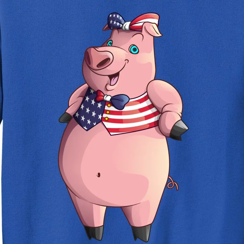 Cool American Pig Funny Pet Piggy United States Flag Gift Meaningful Gift Tall Sweatshirt