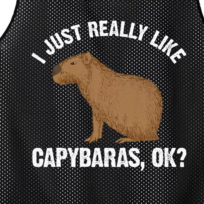 Capybara Art Rodent Capybara Lover Mesh Reversible Basketball Jersey Tank