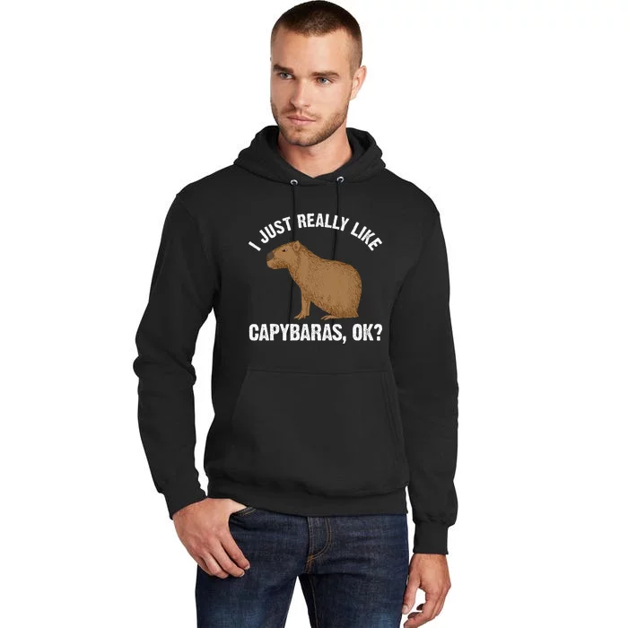 Capybara Art Rodent Capybara Lover Tall Hoodie