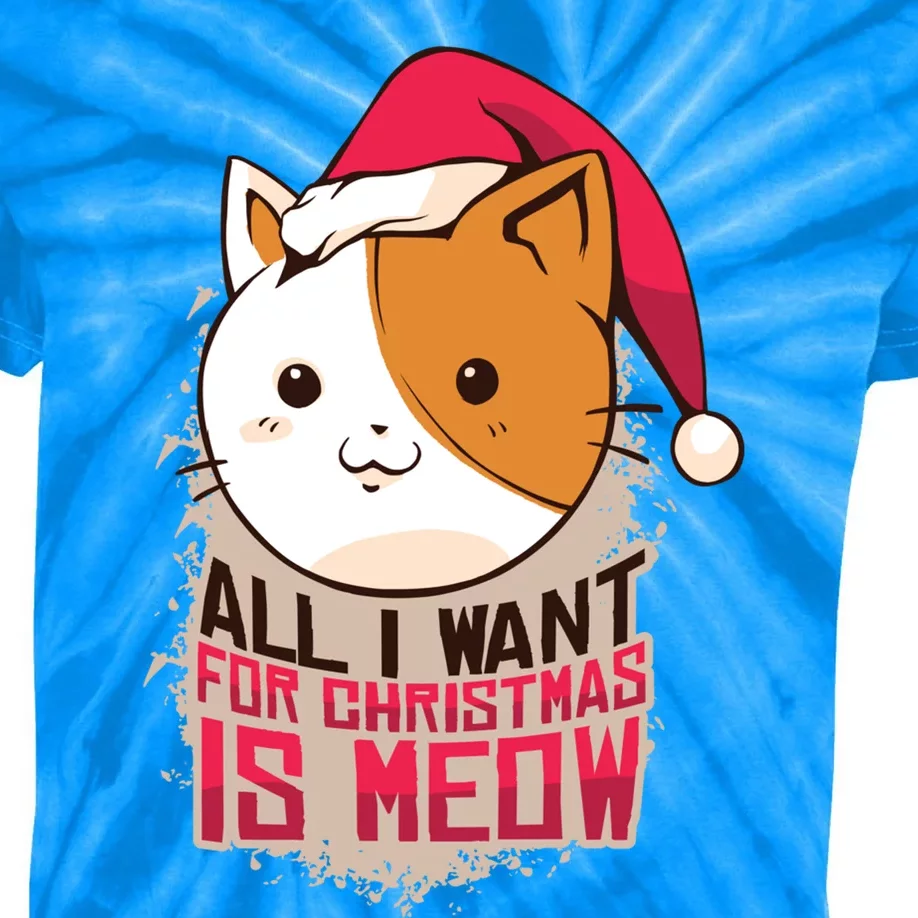 Cat A Santa Hat And All I Want For Christmas Is Meow Gift Kids Tie-Dye T-Shirt