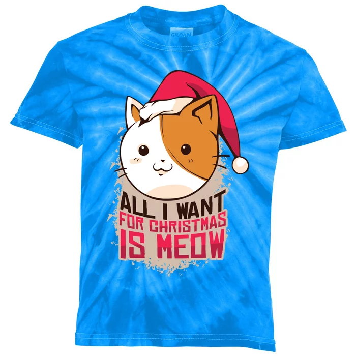 Cat A Santa Hat And All I Want For Christmas Is Meow Gift Kids Tie-Dye T-Shirt