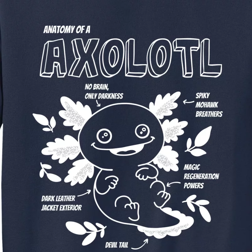 Cute Axolotl Shirt, Anatomy Of A Axolotl Funny Girls Boys Sweatshirt