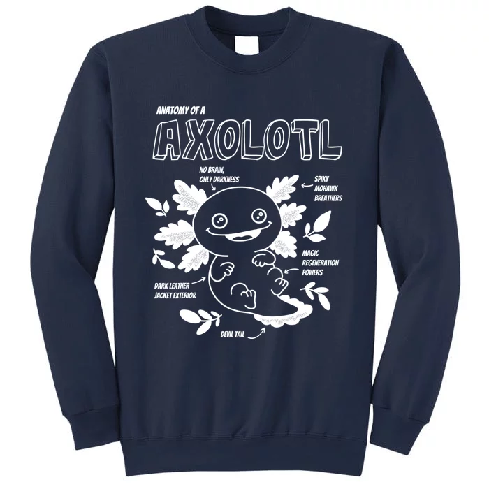 Cute Axolotl Shirt, Anatomy Of A Axolotl Funny Girls Boys Sweatshirt