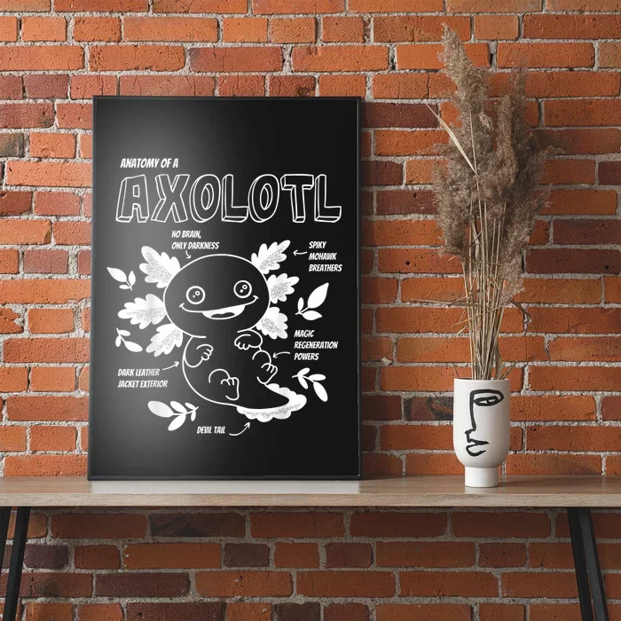 Cute Axolotl Shirt, Anatomy of a Axolotl Funny Girls Boys Poster