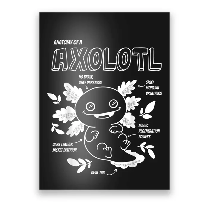 Cute Axolotl Shirt, Anatomy of a Axolotl Funny Girls Boys Poster