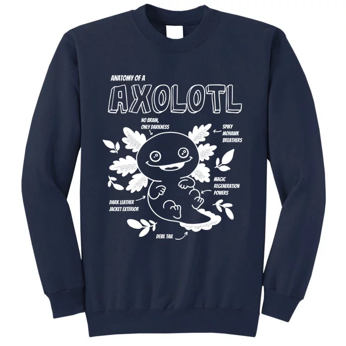 Cute Axolotl Shirt, Anatomy Of A Axolotl Funny Girls Boys Tall Sweatshirt