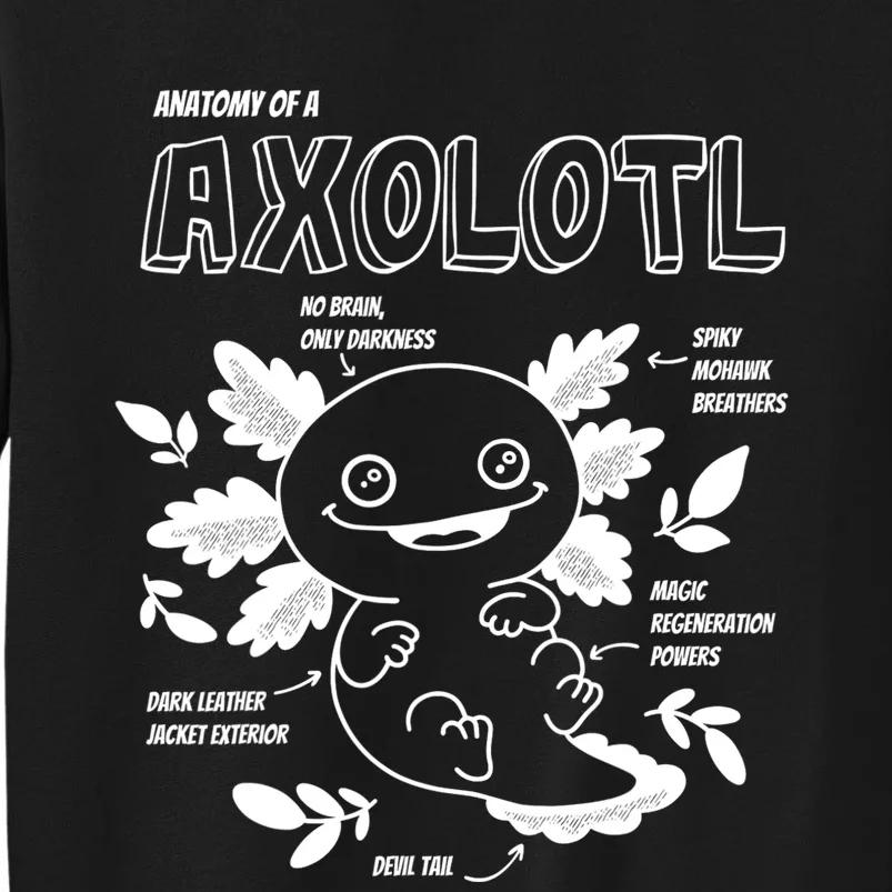 Cute Axolotl Shirt, Anatomy Of A Axolotl Funny Girls Boys Tall Sweatshirt