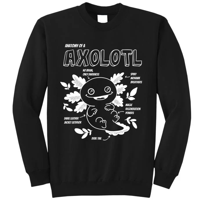 Cute Axolotl Shirt, Anatomy Of A Axolotl Funny Girls Boys Tall Sweatshirt