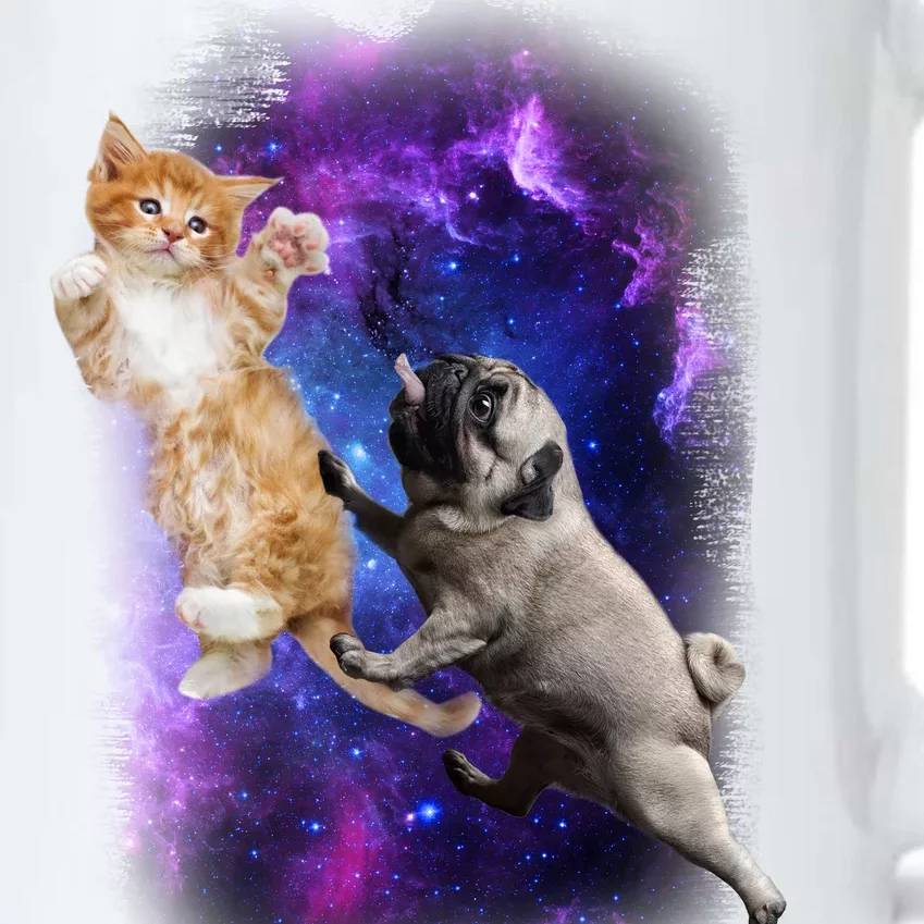 Cat And Pug In Space Black Color Changing Mug