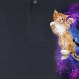 Cat And Pug In Space Softstyle Adult Sport Polo