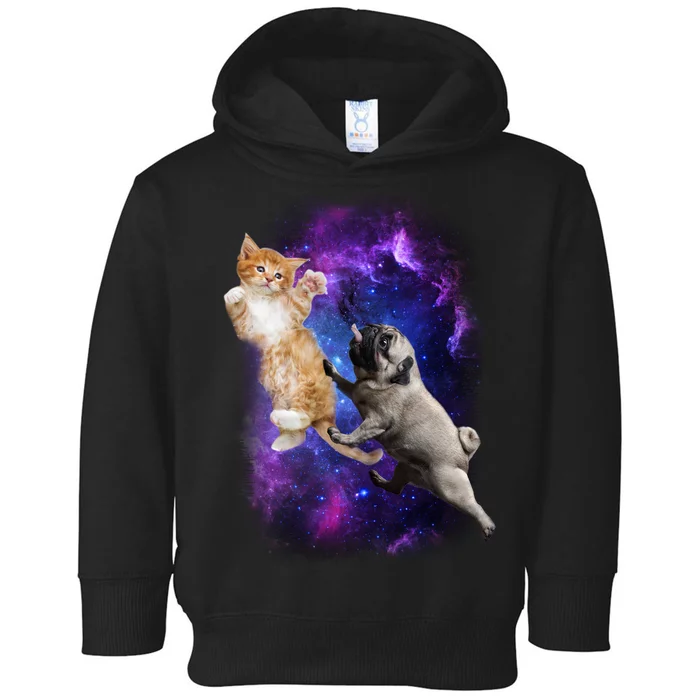 Cat And Pug In Space Toddler Hoodie