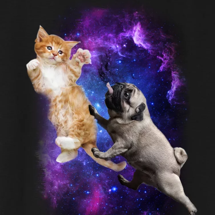 Cat And Pug In Space Women's Crop Top Tee