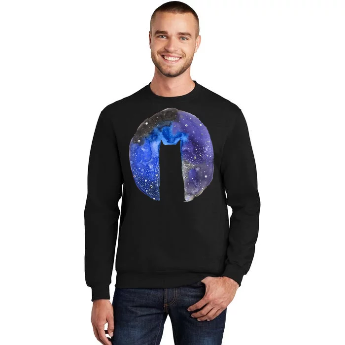 Cat Galaxy Tall Sweatshirt