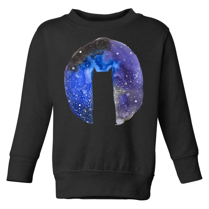 Cat Galaxy Toddler Sweatshirt