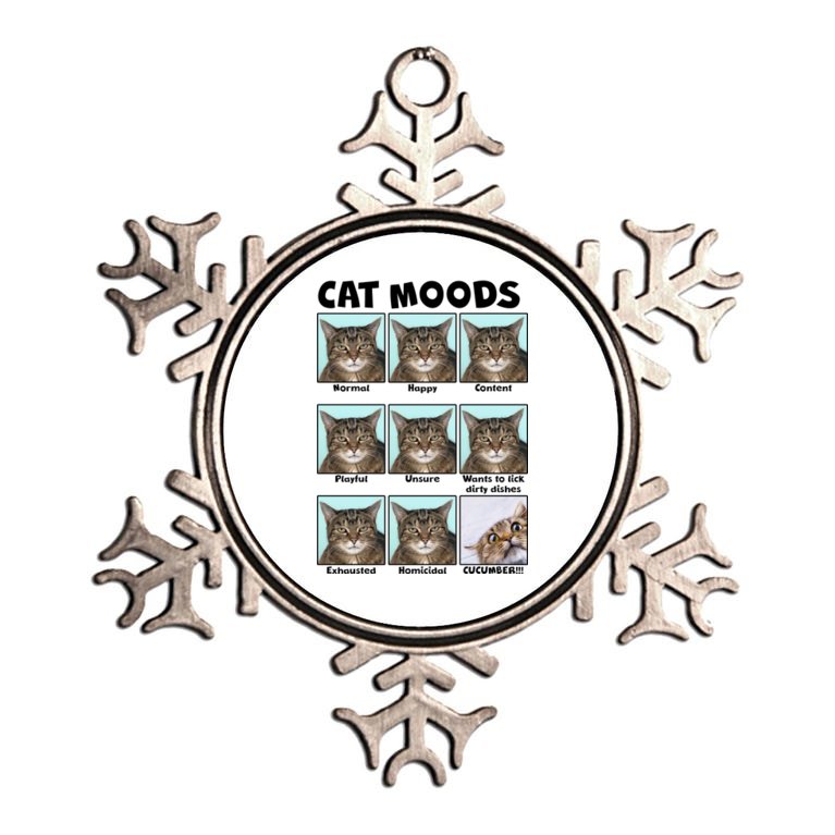 Cat Moods Funny Meme Metallic Star Ornament