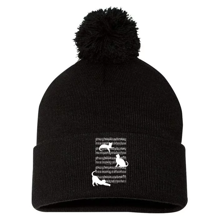 Cat Music Note Sheet Pom Pom 12in Knit Beanie