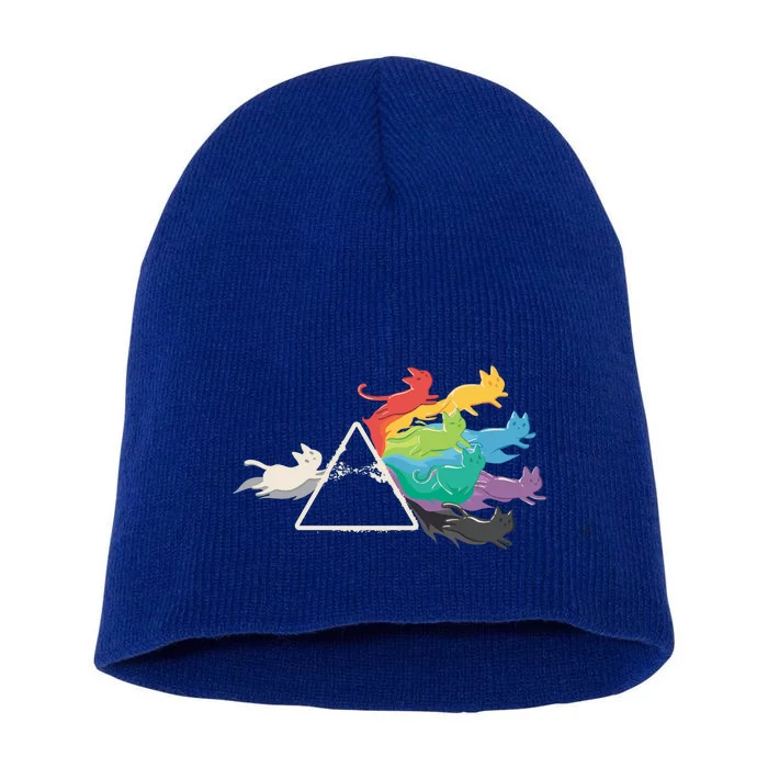 Cat Rainbow Prism Short Acrylic Beanie