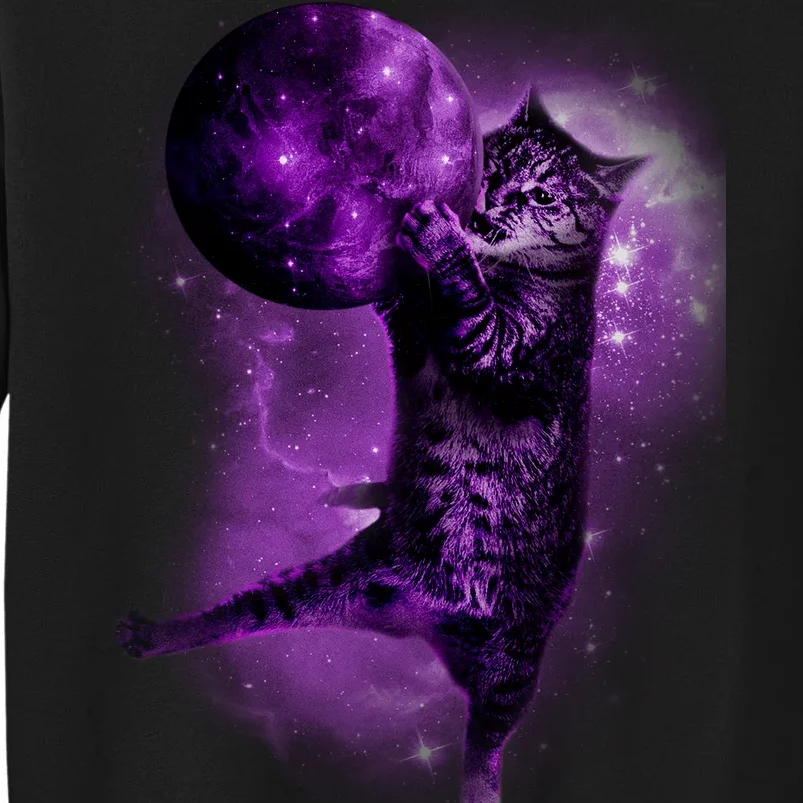 Cat World Galaxy Tall Sweatshirt