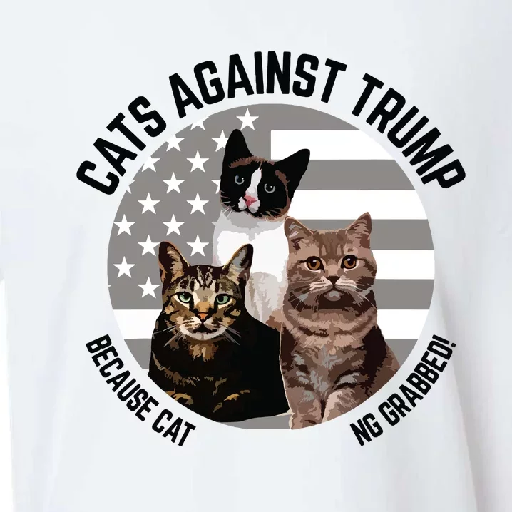 Cats Against Trump Because Cats Dont Like Being Grabbed Sueded Cloud Jersey T-Shirt