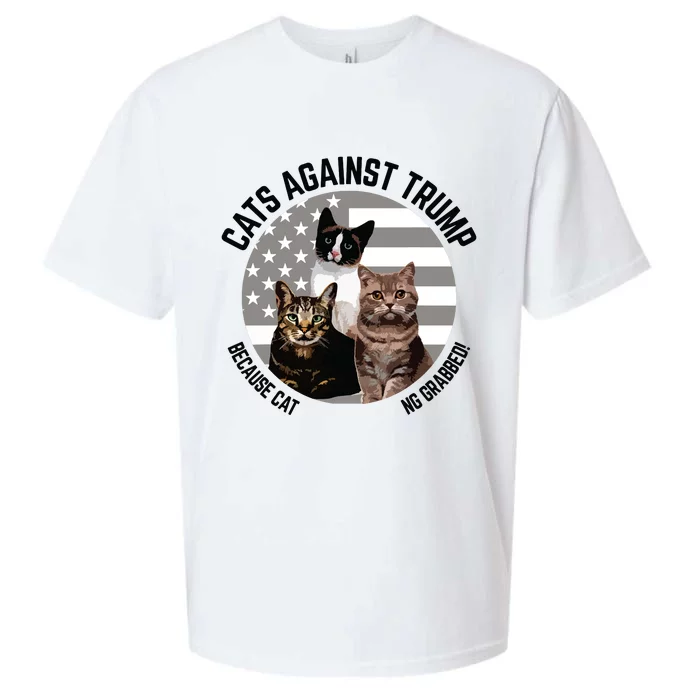 Cats Against Trump Because Cats Dont Like Being Grabbed Sueded Cloud Jersey T-Shirt