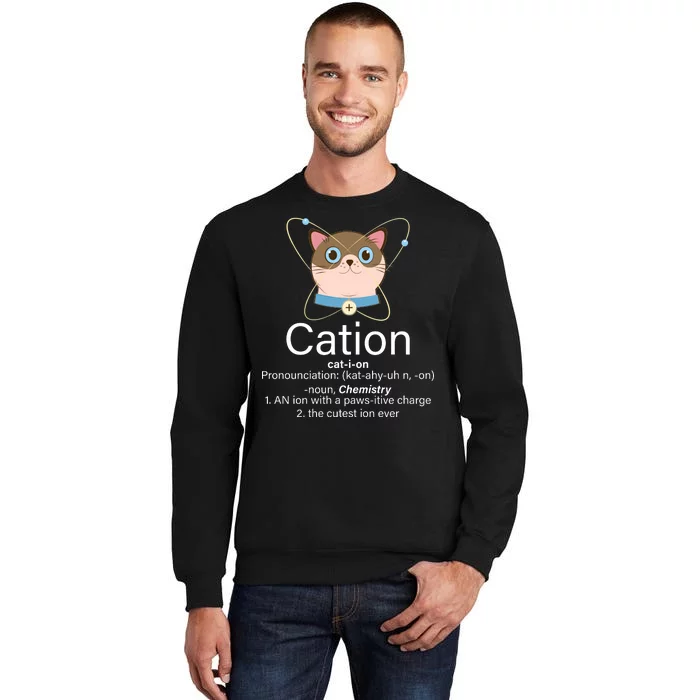 Cation Science Joke Funny Tall Sweatshirt